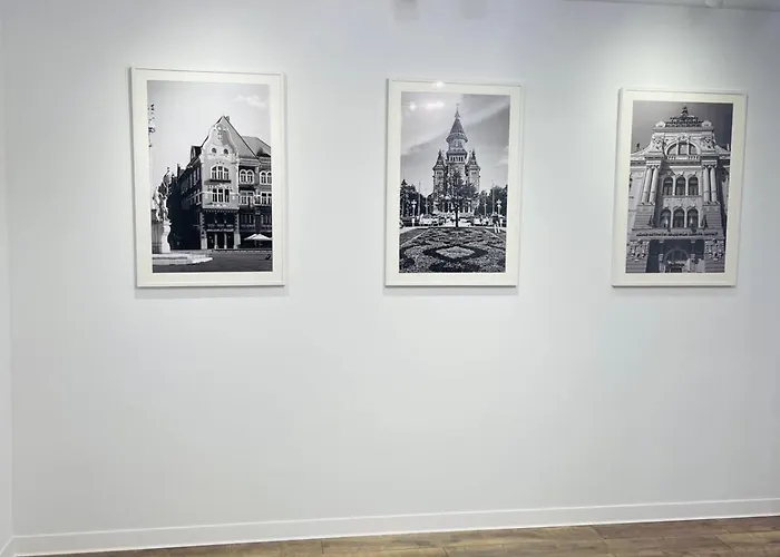 Opera Center Timişoara