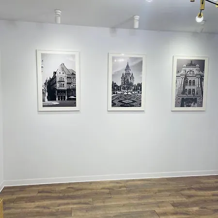 Opera Center Temešvár